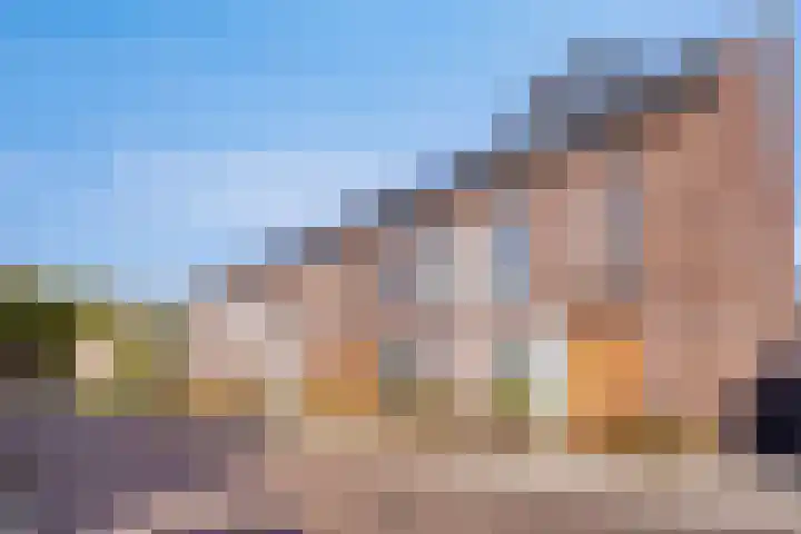 Ternate 54 Barneveld thumbnail 11