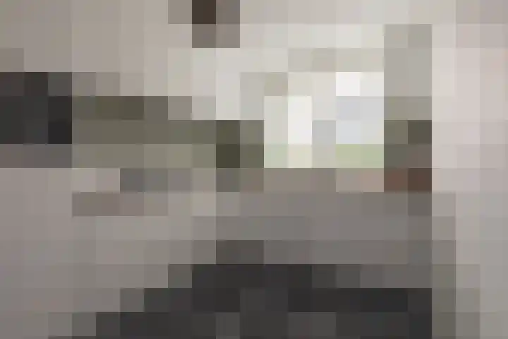 Ternate 54 Barneveld thumbnail 19