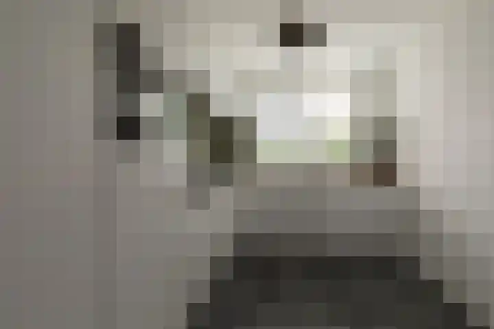 Ternate 54 Barneveld thumbnail 20