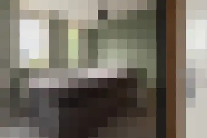 Ternate 54 Barneveld thumbnail 24