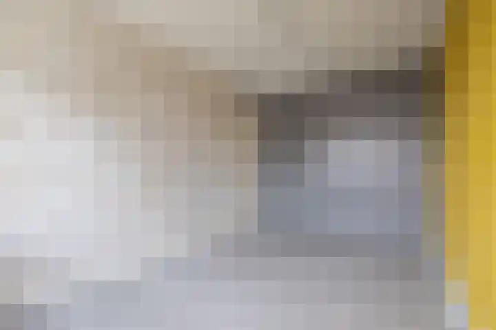 Ternate 54 Barneveld thumbnail 27