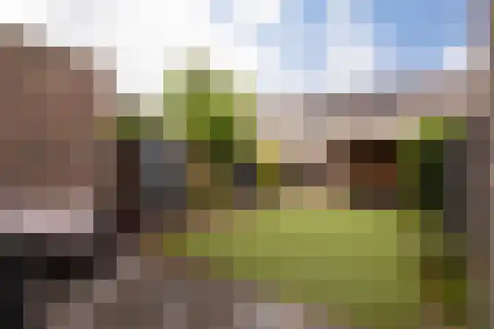 Ternate 54 Barneveld thumbnail 36