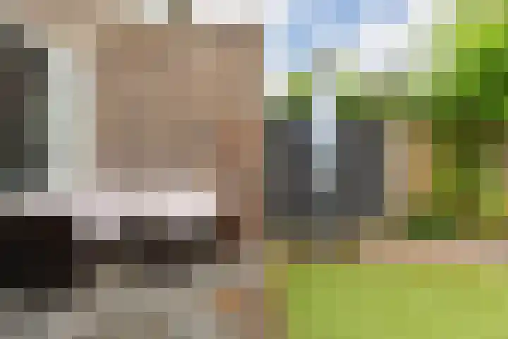 Ternate 54 Barneveld thumbnail 37