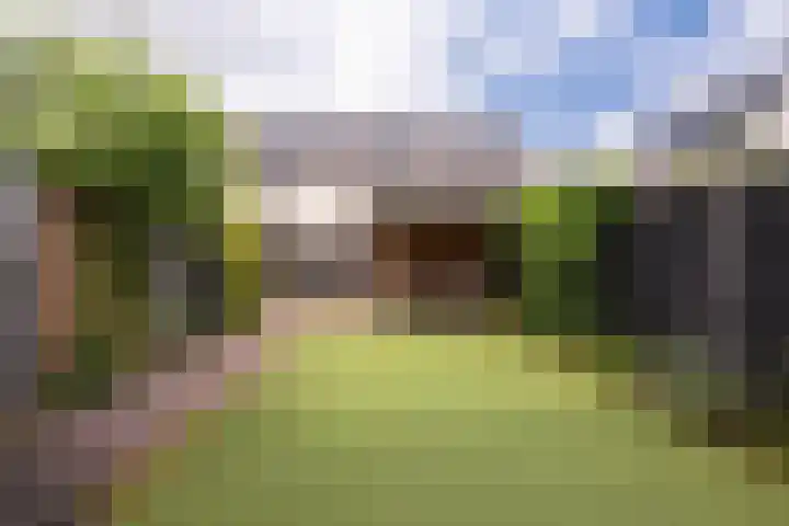 Ternate 54 Barneveld thumbnail 38