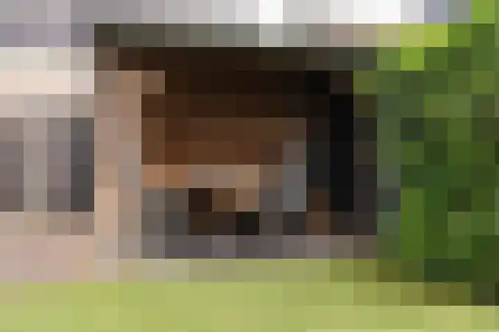 Ternate 54 Barneveld thumbnail 39