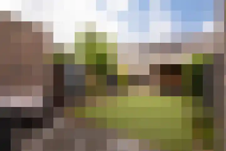 Ternate 54 Barneveld thumbnail 4
