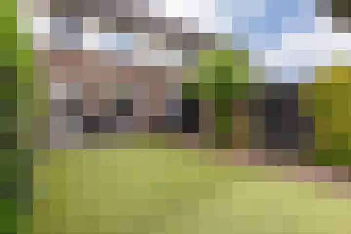 Ternate 54 Barneveld thumbnail 40