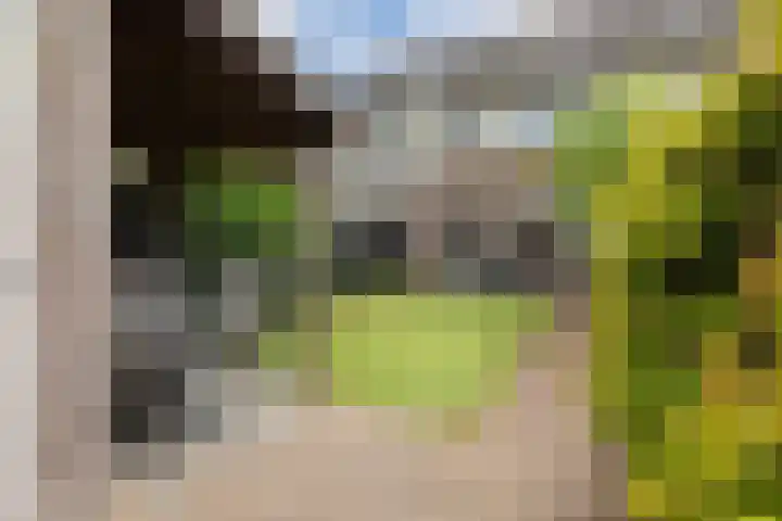 Ternate 54 Barneveld thumbnail 41