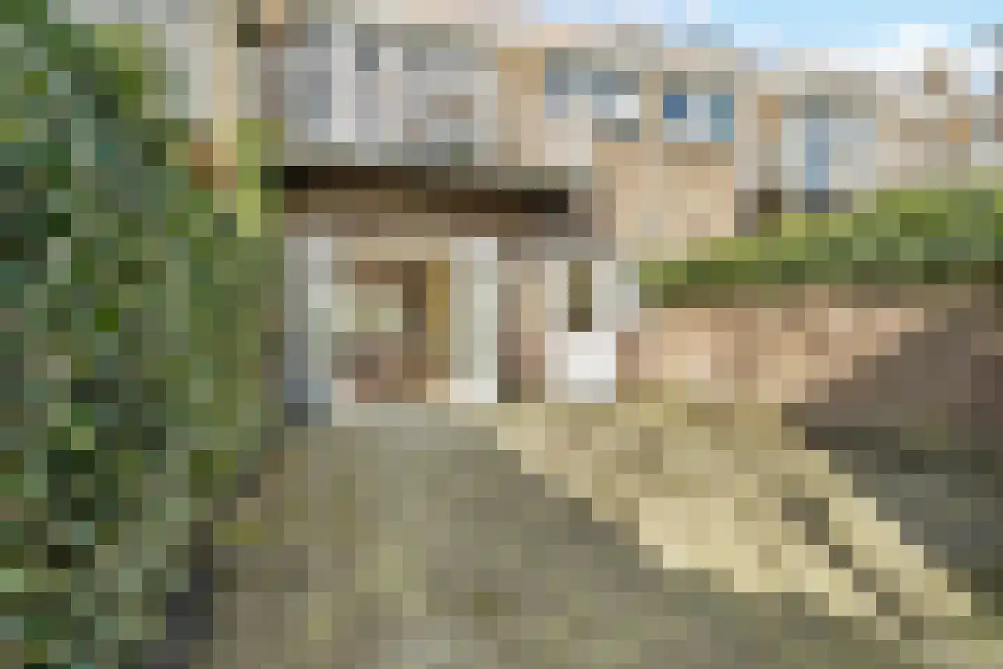Ternate 54 Barneveld thumbnail 7