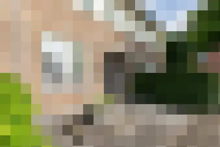 Ternate 54 Barneveld thumbnail 8