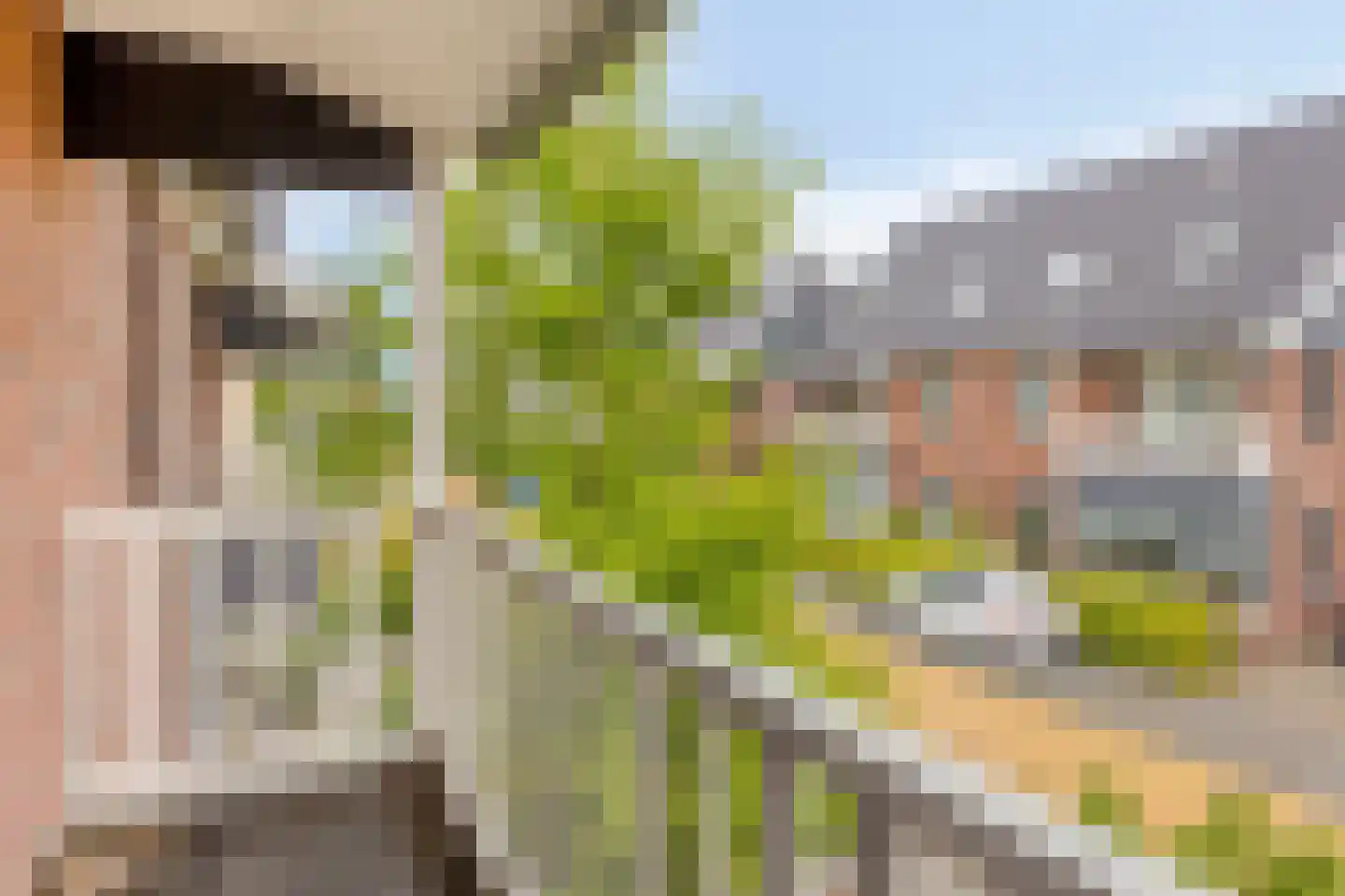 Ternate 58 Barneveld thumbnail 21