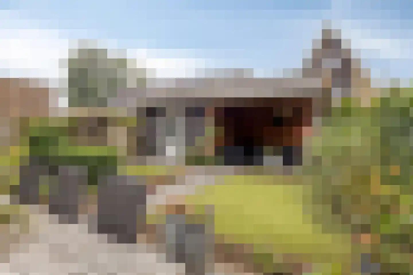 Ternate 58 Barneveld thumbnail 34