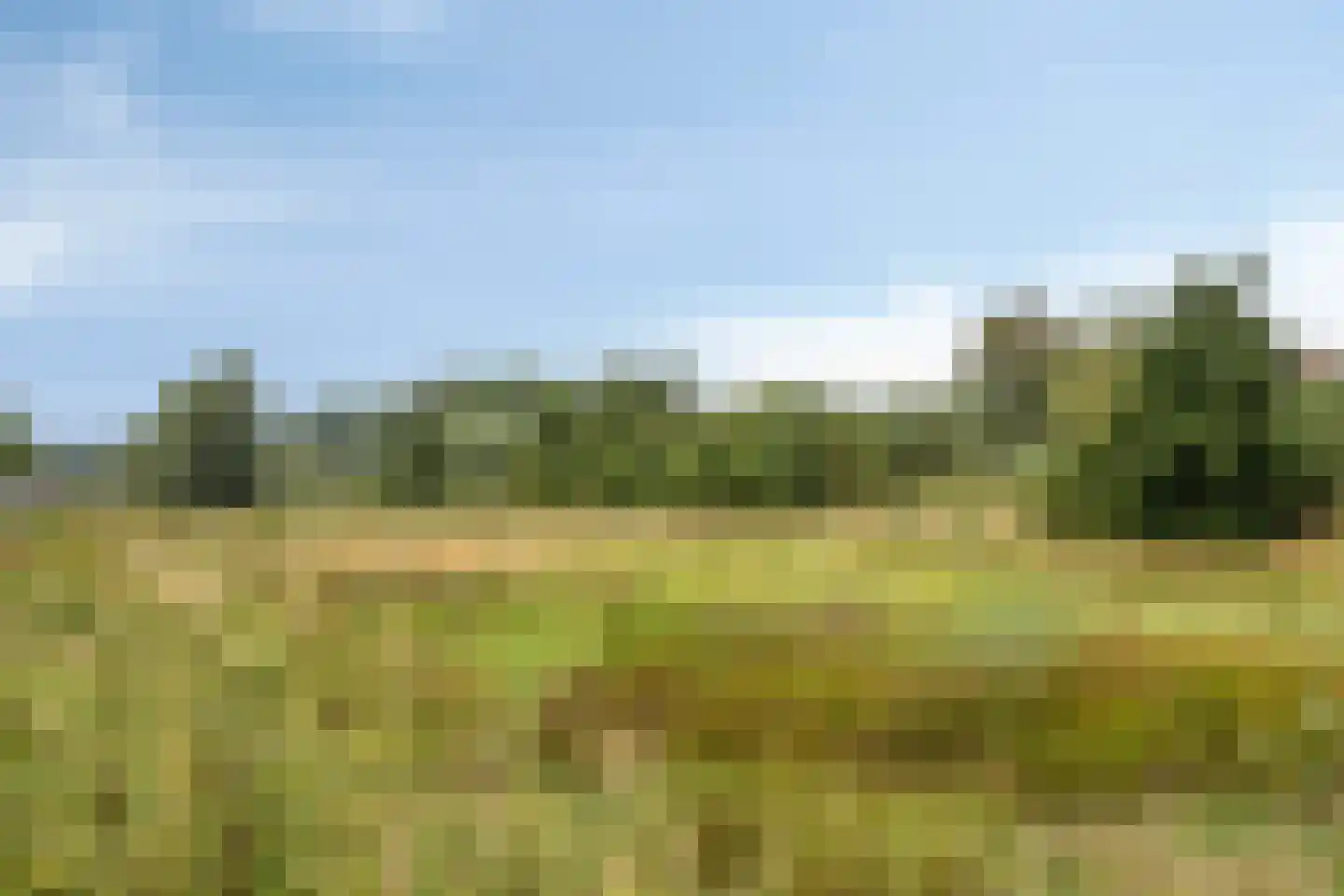 Ternate 58 Barneveld thumbnail 37