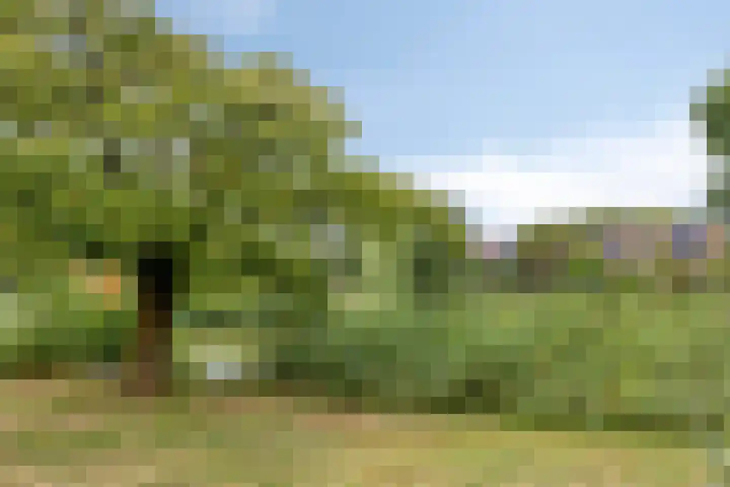 Ternate 58 Barneveld thumbnail 38