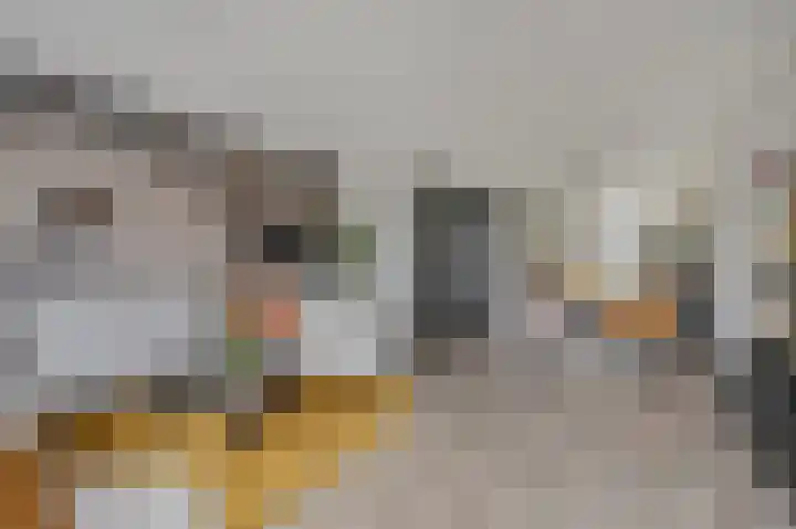 Ternate 8 Barneveld thumbnail 12