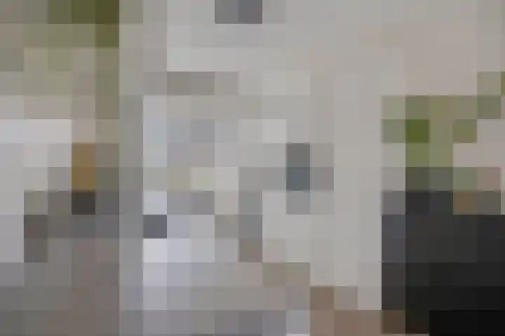 Ternate 8 Barneveld thumbnail 18
