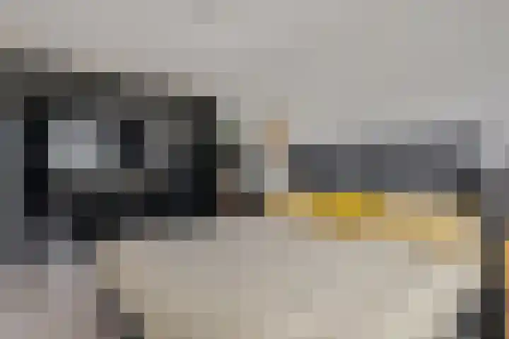 Ternate 8 Barneveld thumbnail 22