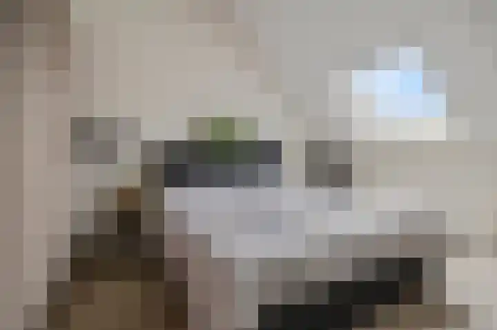 Ternate 8 Barneveld thumbnail 28