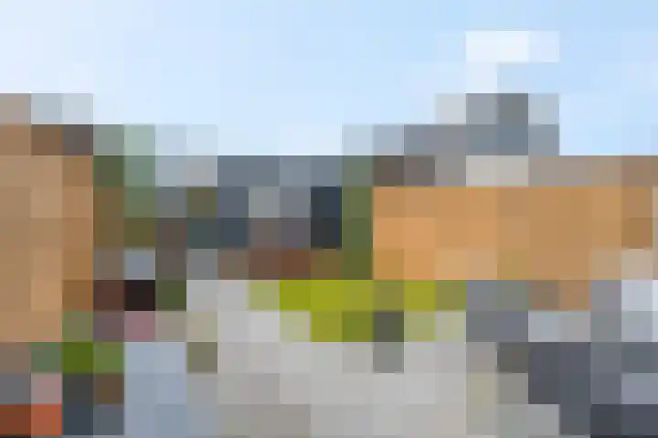 Ternate 8 Barneveld thumbnail 31