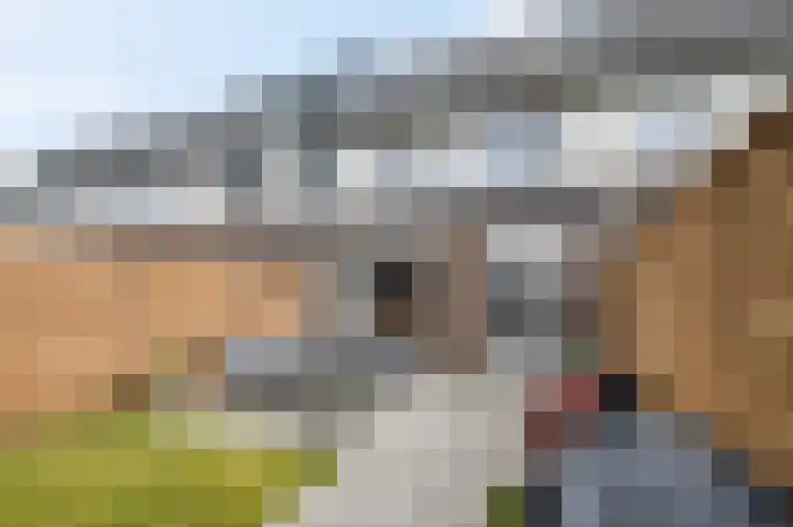 Ternate 8 Barneveld thumbnail 34