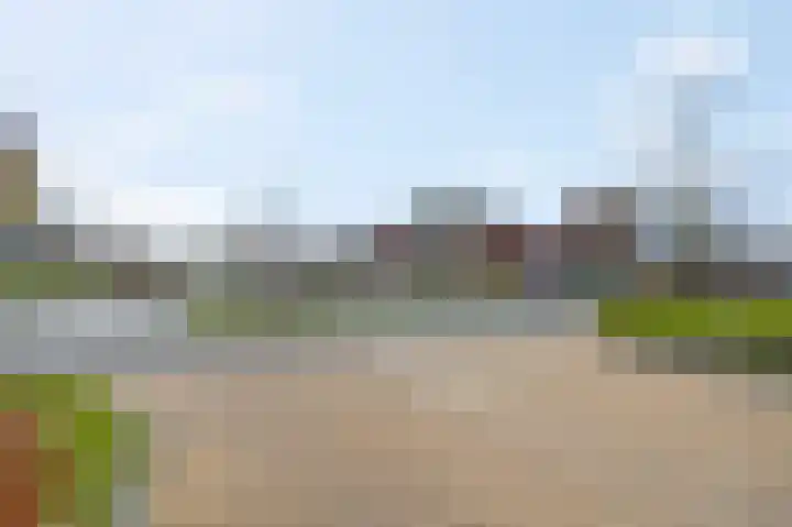 Ternate 8 Barneveld thumbnail 37
