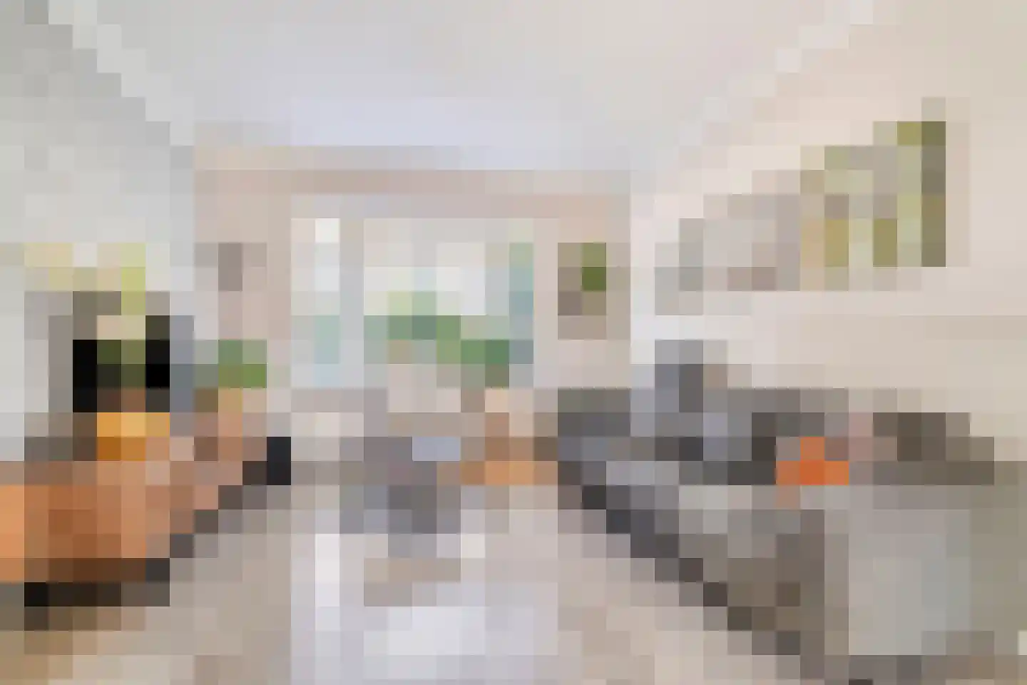Ternatestraat 14 Delft thumbnail 10
