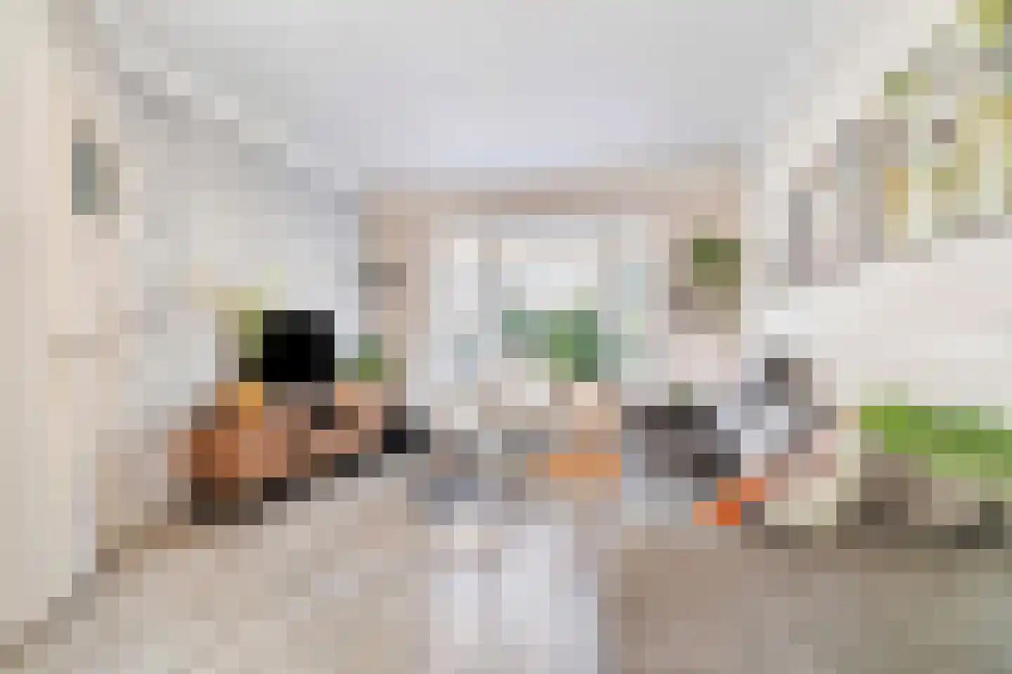 Ternatestraat 14 Delft thumbnail 9