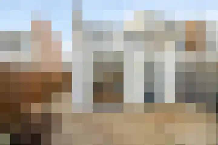 Ternatestraat 14 Vlaardingen thumbnail 18