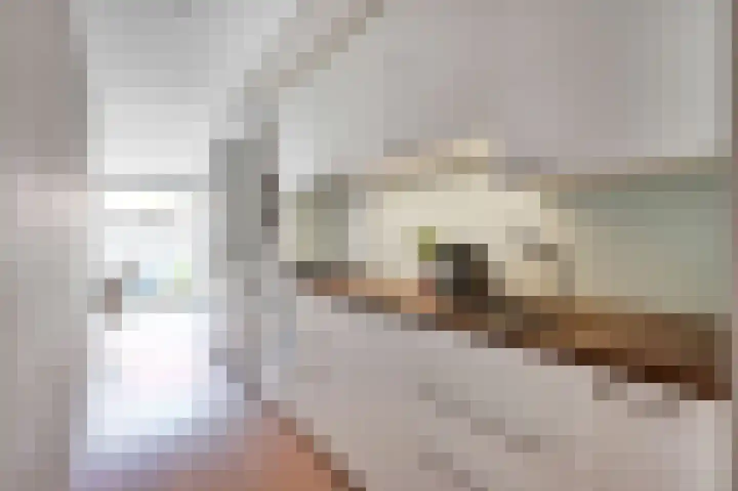 Ternatestraat 141 Delft thumbnail 15