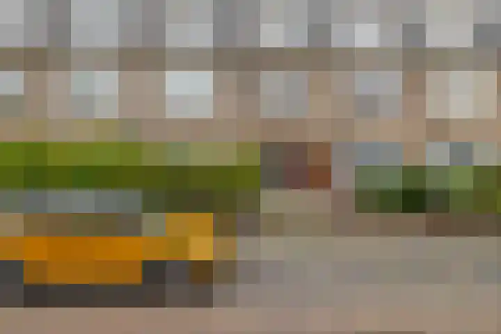 Ternatestraat 151 Delft thumbnail 36