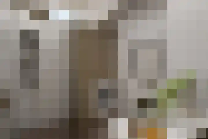 Ternatestraat 151 Delft thumbnail 38