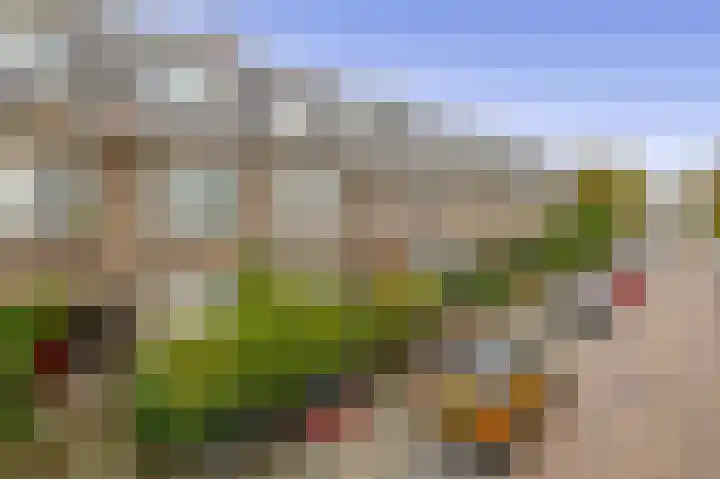 Ternatestraat 151 Delft thumbnail 5