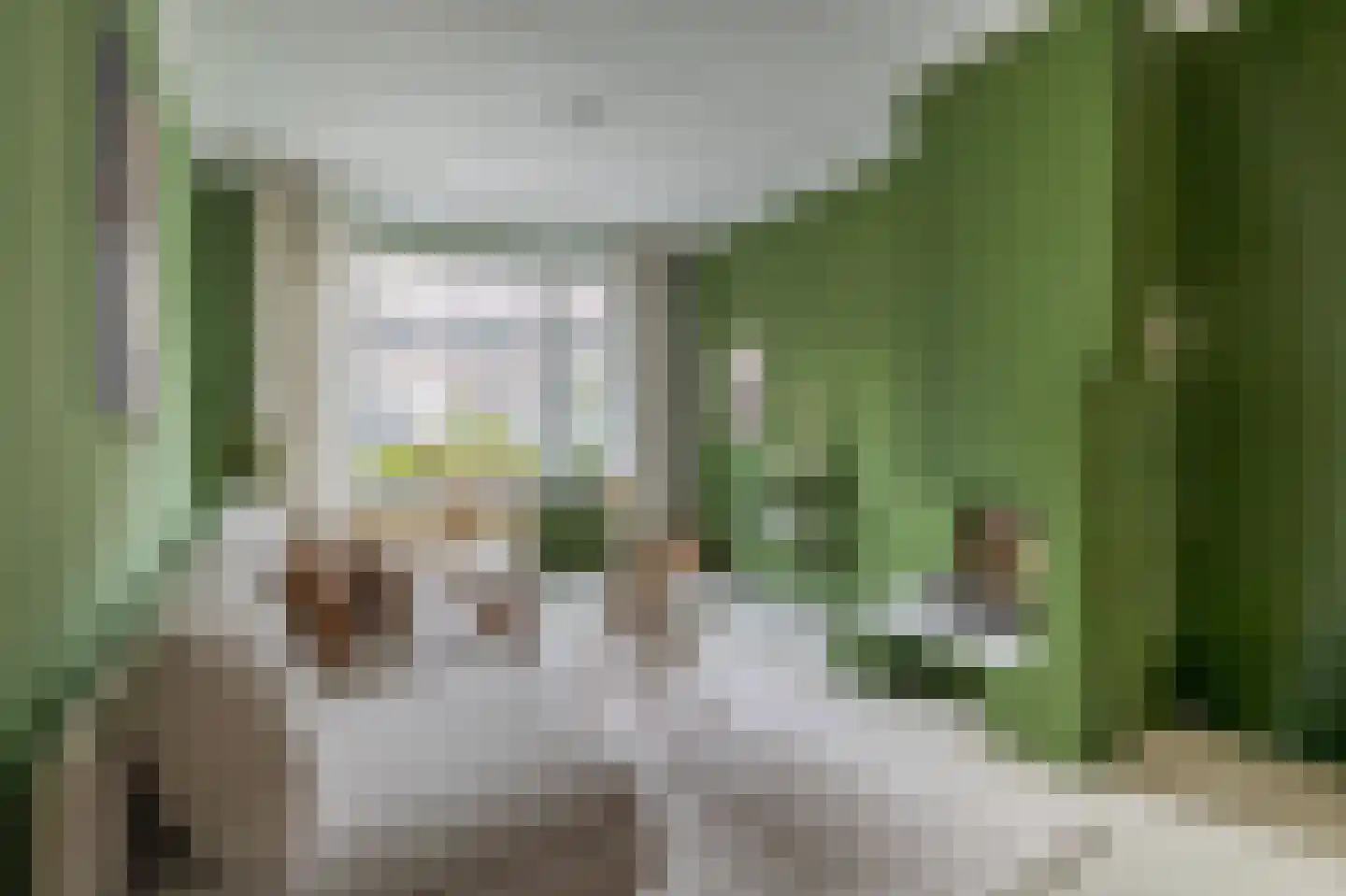 Ternatestraat 159 Delft thumbnail 6