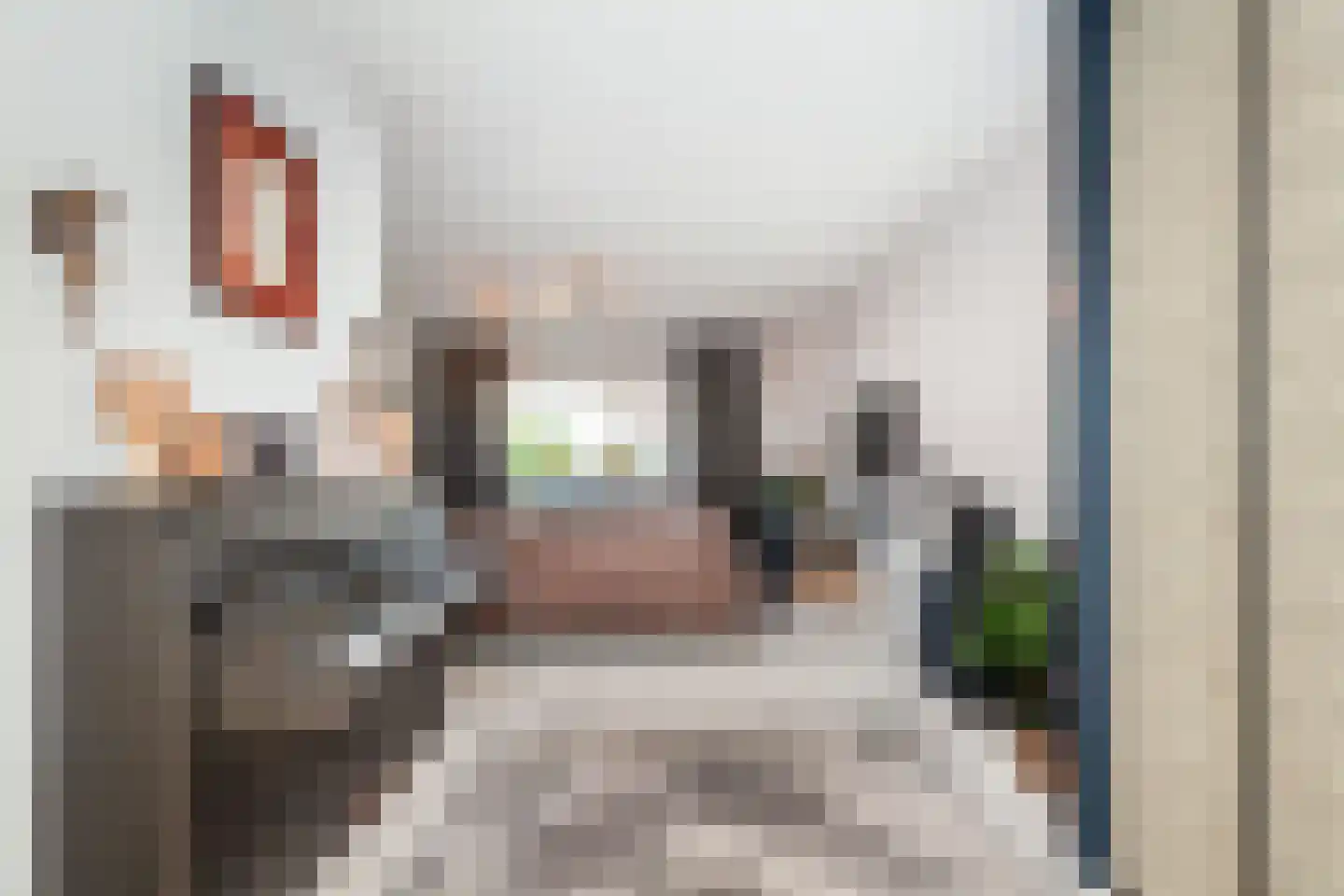 Ternatestraat 16 Vlaardingen thumbnail 17