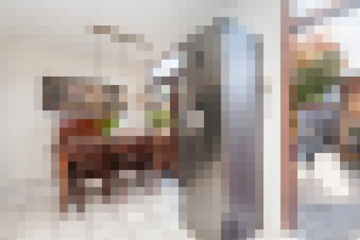 Ternatestraat 16 Vlaardingen thumbnail 21