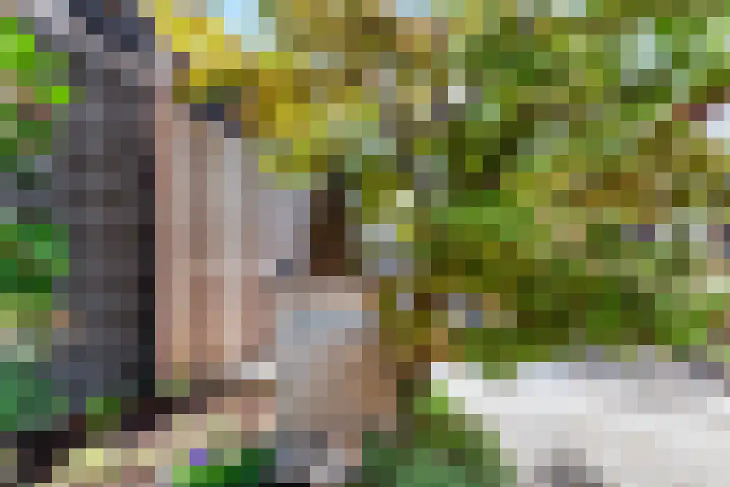 Ternatestraat 16 Vlaardingen thumbnail 33