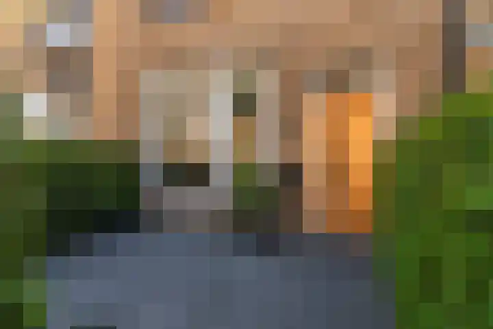 Ternatestraat 20 Delft thumbnail 6