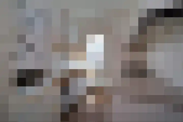Ternatestraat 3 Delft thumbnail 4