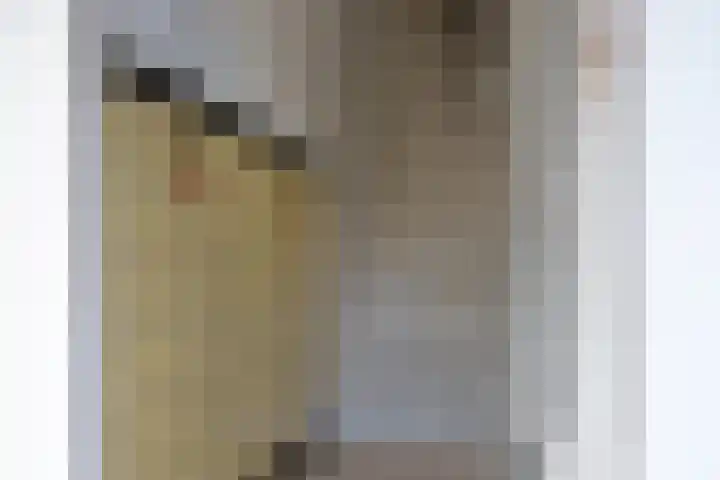 Ternatestraat 3 Delft thumbnail 9