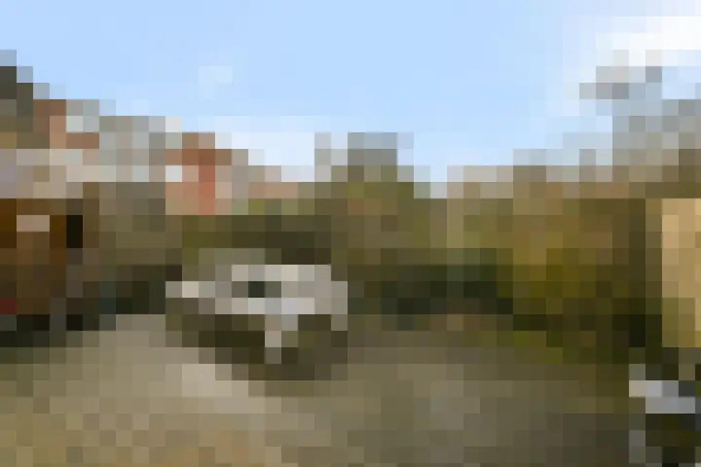 Ternatestraat 30 Amsterdam thumbnail 4