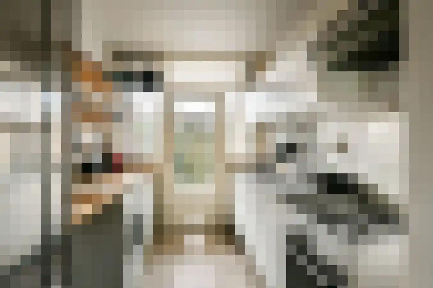 Ternatestraat 30 Amsterdam thumbnail 7