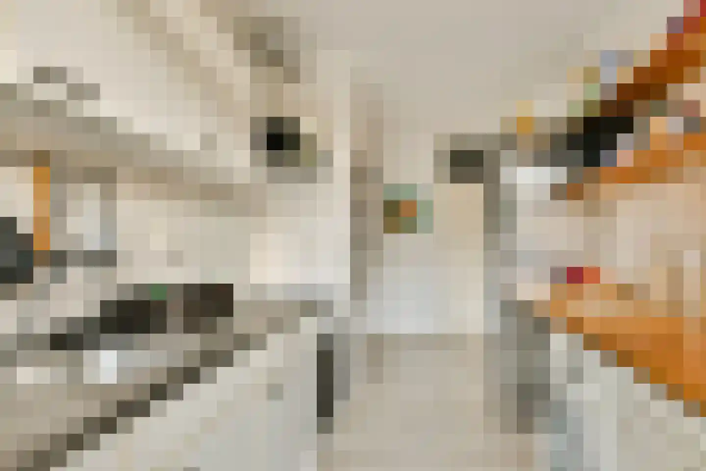 Ternatestraat 30 Amsterdam thumbnail 8