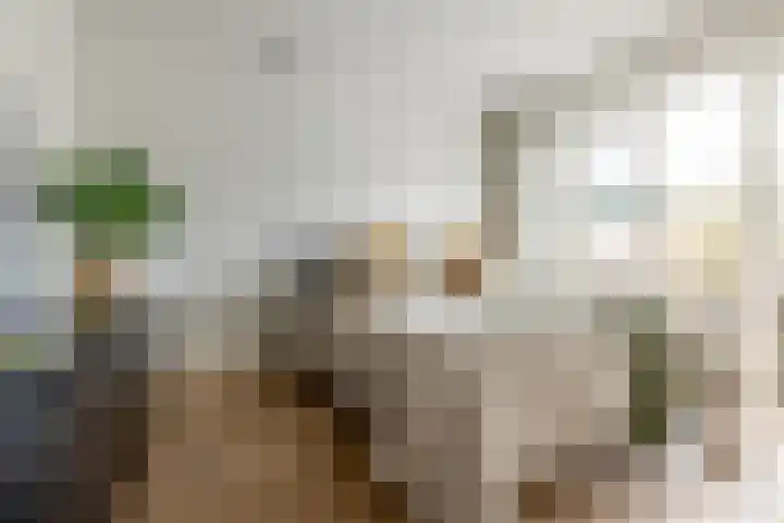 Ternatestraat 47 Haarlem thumbnail 4