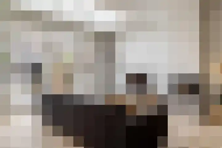 Ternatestraat 47 Haarlem thumbnail 8