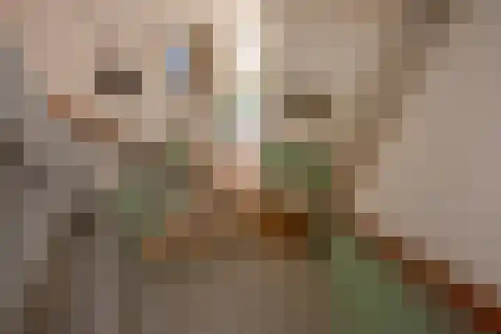 Ternatestraat 55 Delft thumbnail 25
