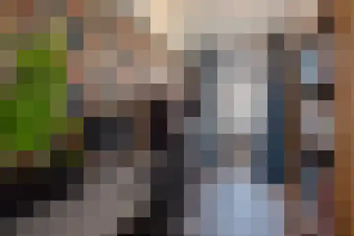Ternatestraat 55 Delft thumbnail 27