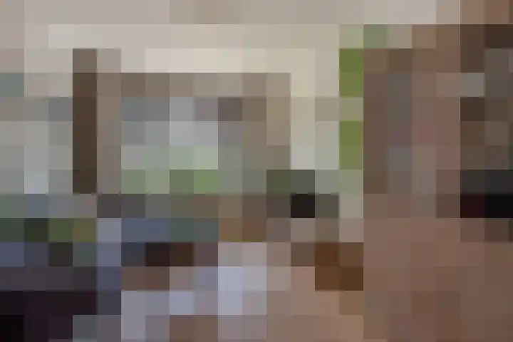 Ternatestraat 55 Delft thumbnail 8