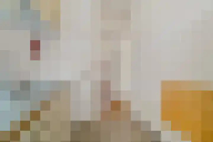 Ternatestraat 61 Delft thumbnail 12