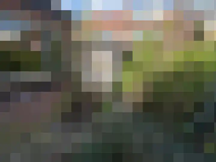 Ternatestraat 7 Haarlem thumbnail 17