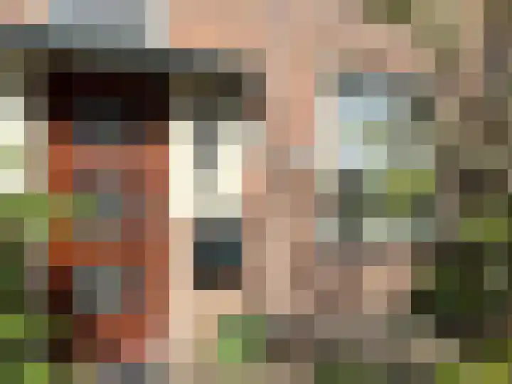 Ternatestraat 7 Haarlem thumbnail 5